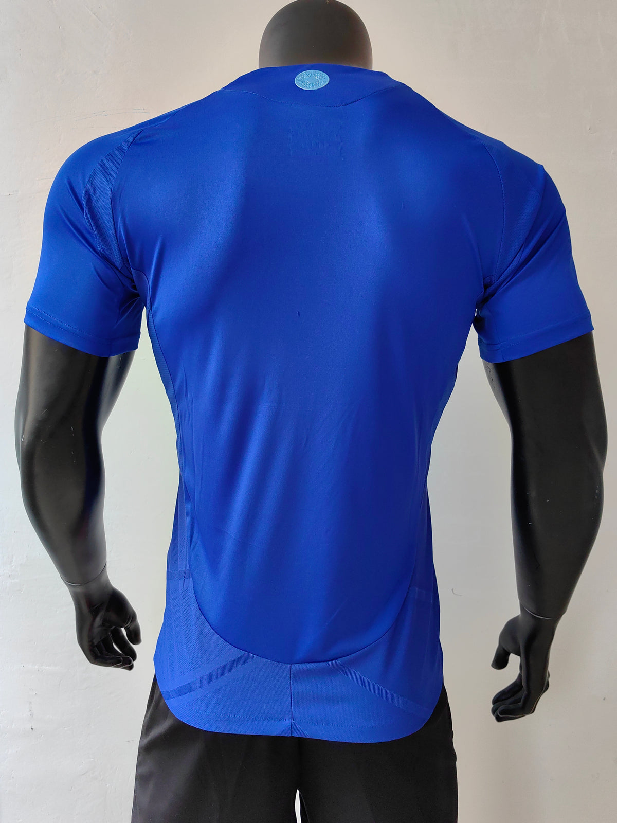 Wholesale 2024 Argentina national team away blue player version soccer jersey XS-4XL