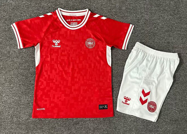 Wholesale 2024 UEFA European ChampionshipIceland Denmark home and away kid kits