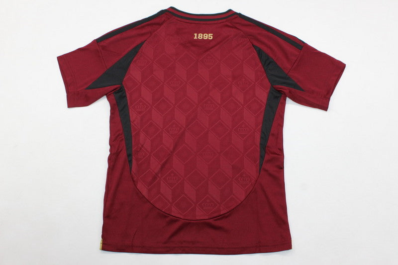 Wholesale 2024 UEFA European Championship Belgium home home and away kid kits