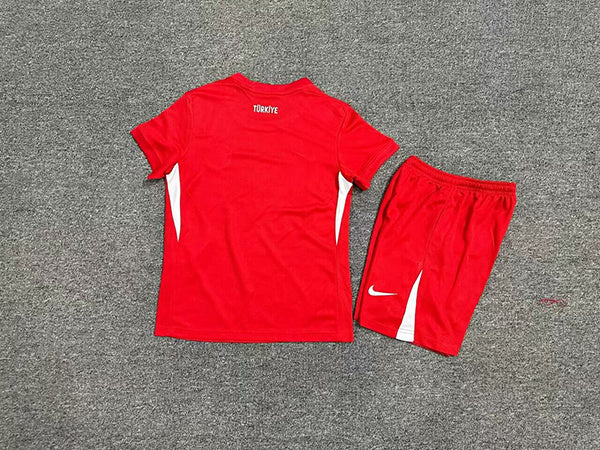 Wholesale 2024 UEFA European ChampionshipIceland Turkey home and away kits