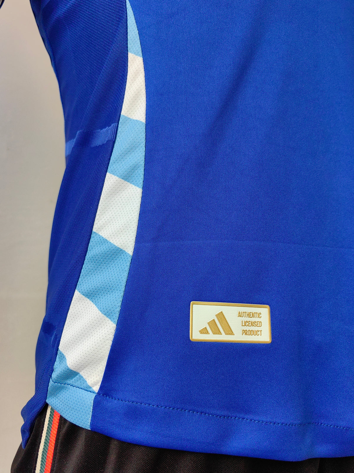 Wholesale 2024 Argentina national team away blue player version soccer jersey XS-4XL