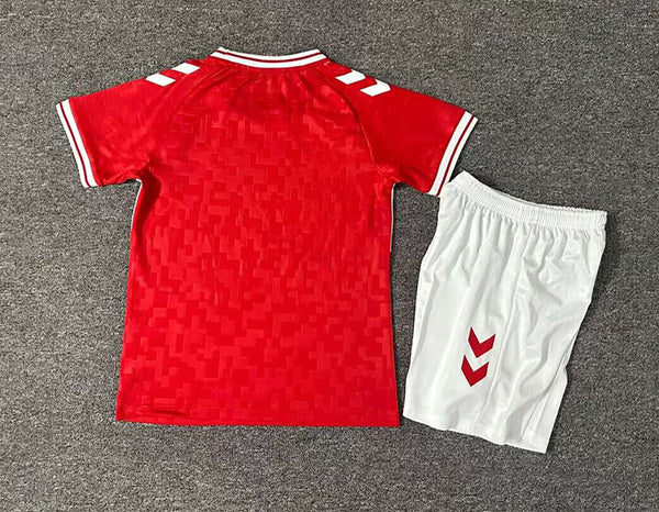 Wholesale 2024 UEFA European ChampionshipIceland Denmark home and away kid kits
