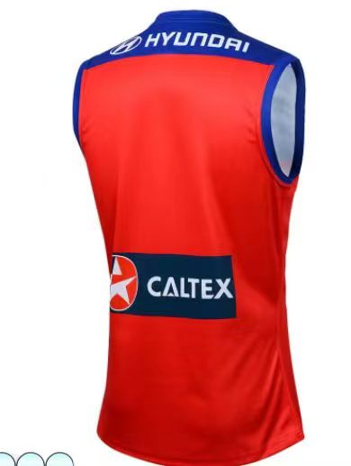 Wholesale Australia 2024 AFL Brisbane Lions Away Rugby Jersey Tank Top S-3XL