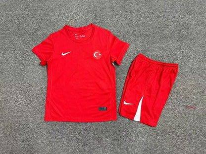 Wholesale 2024 UEFA European ChampionshipIceland  Turkey home and away kits