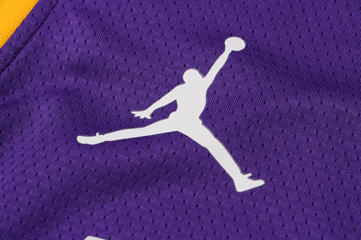 Wholesale  Jordan NBA Los Angeles Lakers purple round neck 23 (hot press style) S-2XL