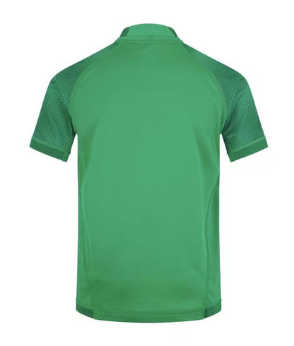 Wholesale 2022 Ireland home green jersey s-5xl