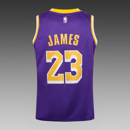 Wholesale  Jordan NBA Los Angeles Lakers purple round neck 23 (hot press style) S-2XL