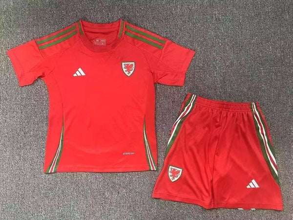 Wholesale 2024 UEFA European Championship  Wales home and away kid kits