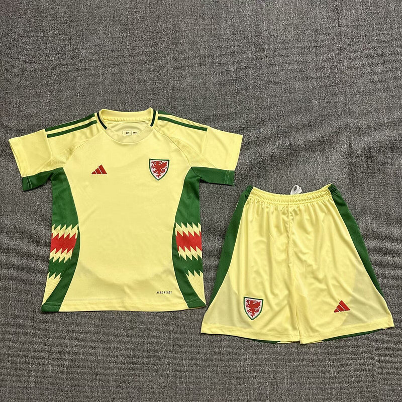 Wholesale 2024 UEFA European Championship  Wales home and away kid kits