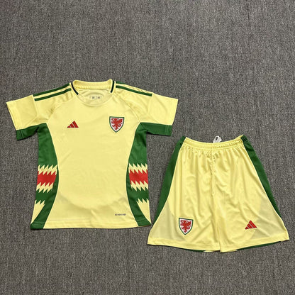 Wholesale 2024 UEFA European Championship  Wales home and away kid kits