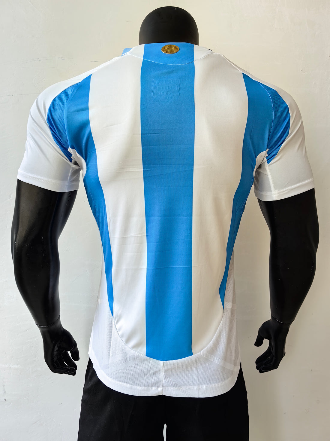 Wholesale 2024 Argentina National Team Home White and Blue Player Version Football Jersey XS-4XL