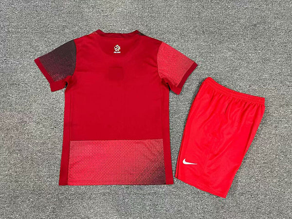 Wholesale 2024 UEFA European Championship  Poland home and away kid kits