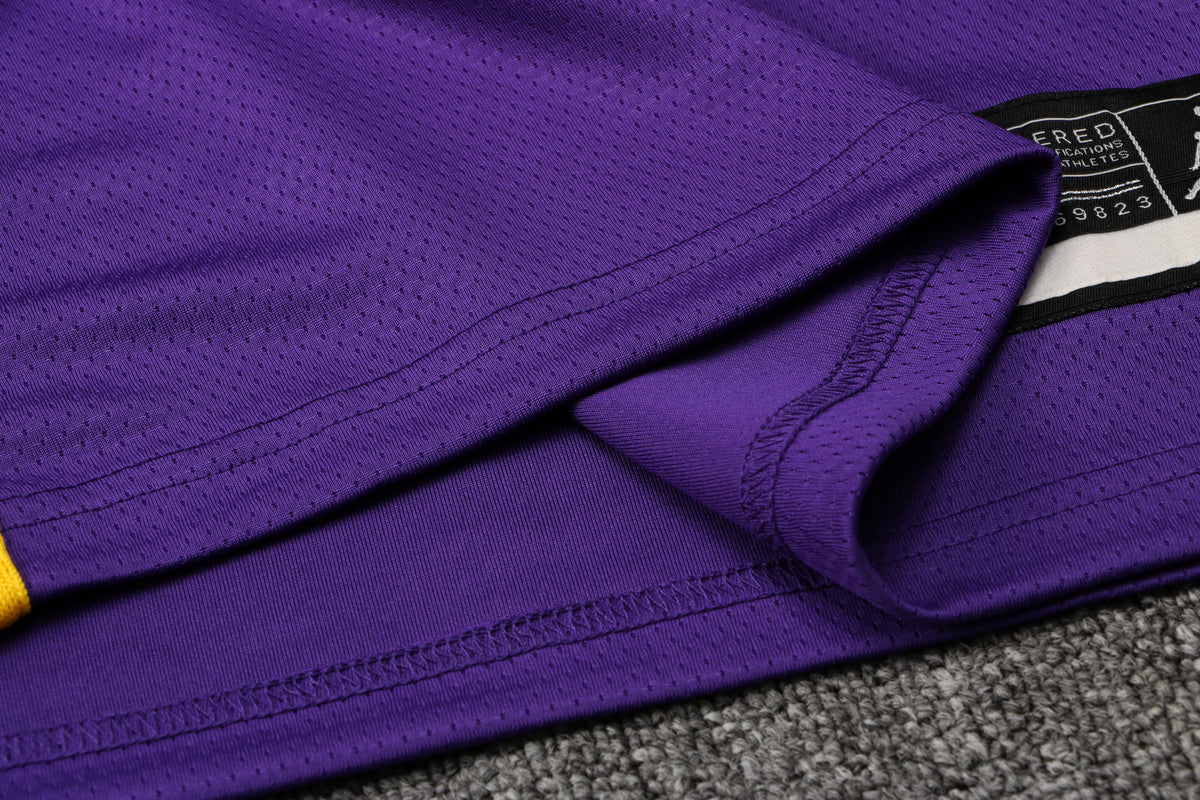 Wholesale  Jordan NBA Los Angeles Lakers purple round neck 23 (hot press style) S-2XL