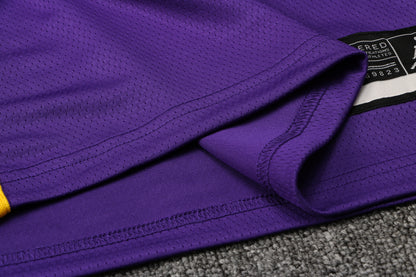 Wholesale  Jordan NBA Los Angeles Lakers purple round neck 23 (hot press style) S-2XL