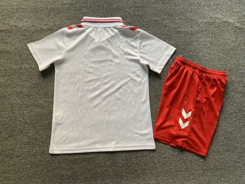 Wholesale 2024 UEFA European ChampionshipIceland  Denmark home and away kid kits