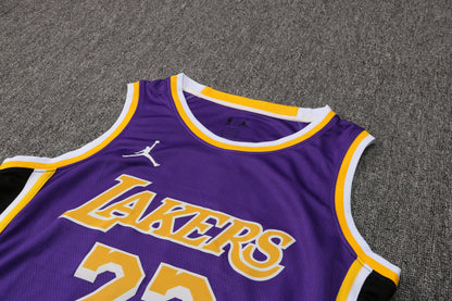 Wholesale  Jordan NBA Los Angeles Lakers purple round neck 23 (hot press style) S-2XL