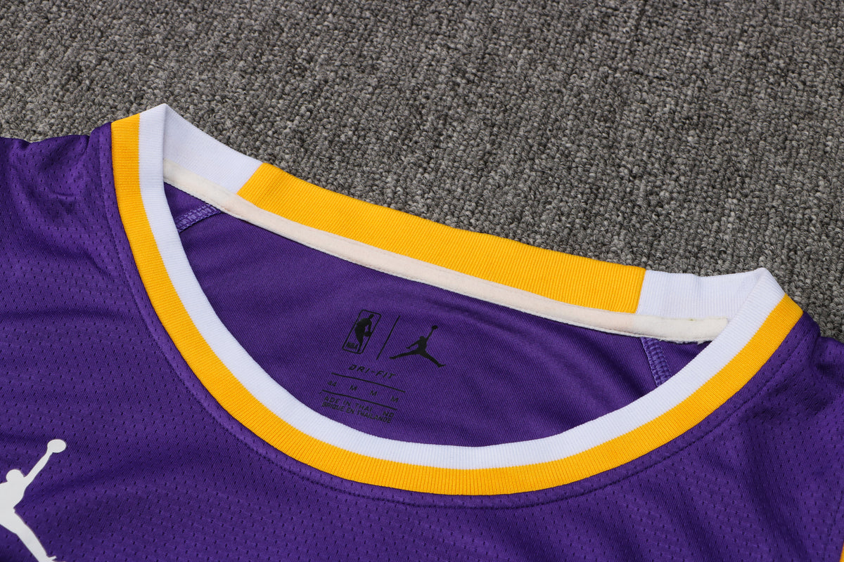 Wholesale  Jordan NBA Los Angeles Lakers purple round neck 23 (hot press style) S-2XL