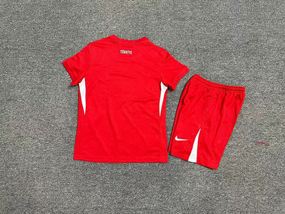 Wholesale 2024 UEFA European ChampionshipIceland  Turkey home and away kits