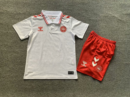 Wholesale 2024 UEFA European ChampionshipIceland  Denmark home and away kid kits