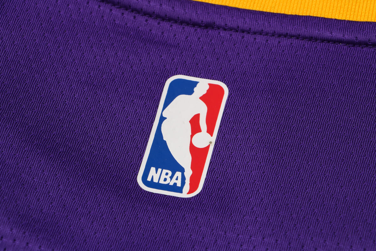 Wholesale  Jordan NBA Los Angeles Lakers purple round neck 23 (hot press style) S-2XL