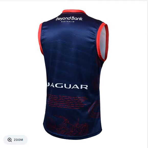 Wholesale Australia 2023 AFL Essendon Indigenous Rugby Jersey Tank Top S-3XL