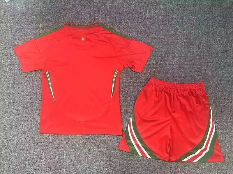 Wholesale 2024 UEFA European Championship  Wales home and away kid kits