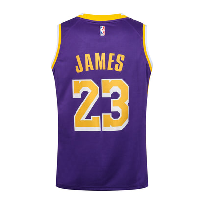 Wholesale  Jordan NBA Los Angeles Lakers purple round neck 23 (hot press style) S-2XL