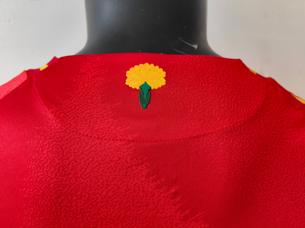 Wholesale 2024 Spain National Team Home Red Player Version Soccer Jersey XS-4XL