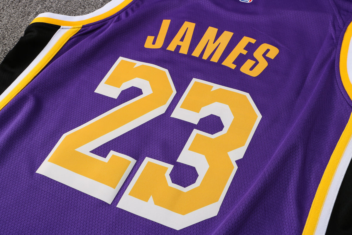 Wholesale  Jordan NBA Los Angeles Lakers purple round neck 23 (hot press style) S-2XL