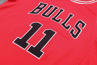 Wholesale NBA2223 Chicago Bulls red jersey number 11