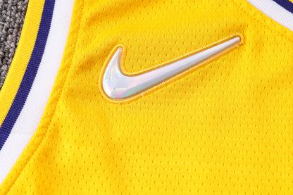 Wholesale NBA2223 Los Angeles Lakers yellow No. 8 basketball star (heat pressed款)