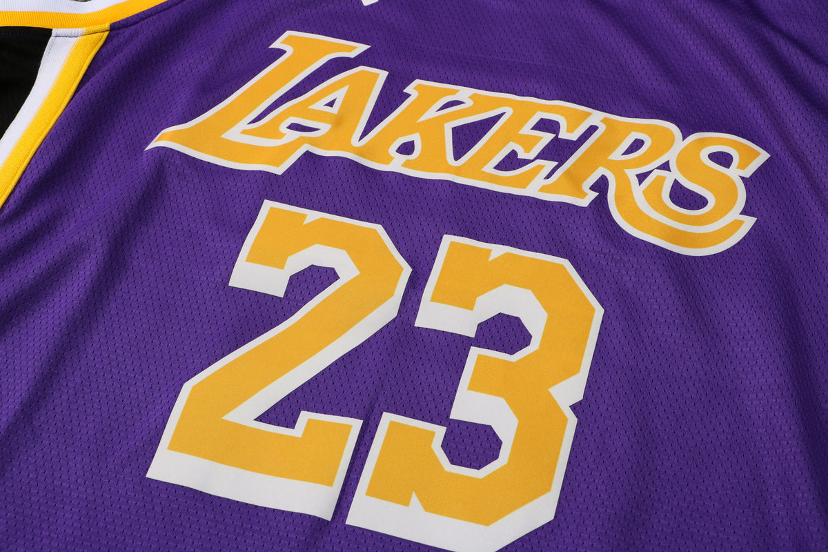 Wholesale  Jordan NBA Los Angeles Lakers purple round neck 23 (hot press style) S-2XL