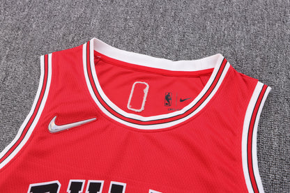 Wholesale NBA2223 Chicago Bulls red jersey number 11