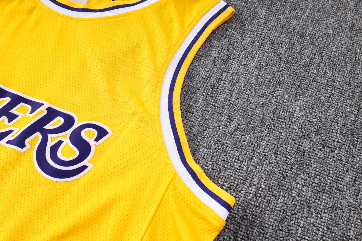 Wholesale NBA2223 Los Angeles Lakers yellow No. 8 basketball star (heat pressed款)