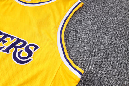 Wholesale NBA2223 Los Angeles Lakers yellow No. 8 basketball star (heat pressed款)
