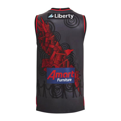 Wholesale Australia AFL Team "Eshen" Sizes Rugby Jersey Tank Top S-3XL
