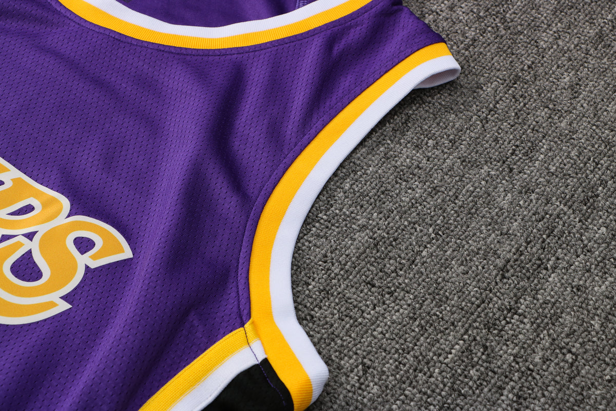 Wholesale  Jordan NBA Los Angeles Lakers purple round neck 23 (hot press style) S-2XL