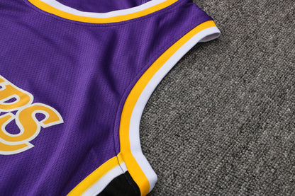 Wholesale  Jordan NBA Los Angeles Lakers purple round neck 23 (hot press style) S-2XL