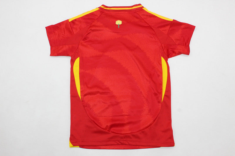 Wholesale 2024 UEFA European Championship  Spain home and away kid kits