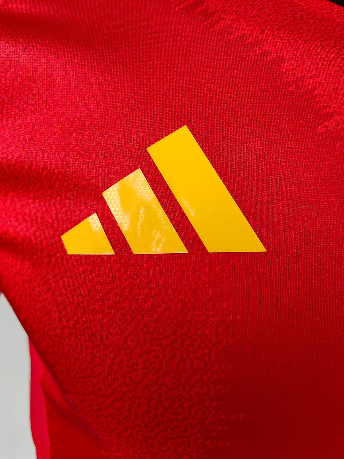 Wholesale 2024 Spain National Team Home Red Player Version Soccer Jersey XS-4XL