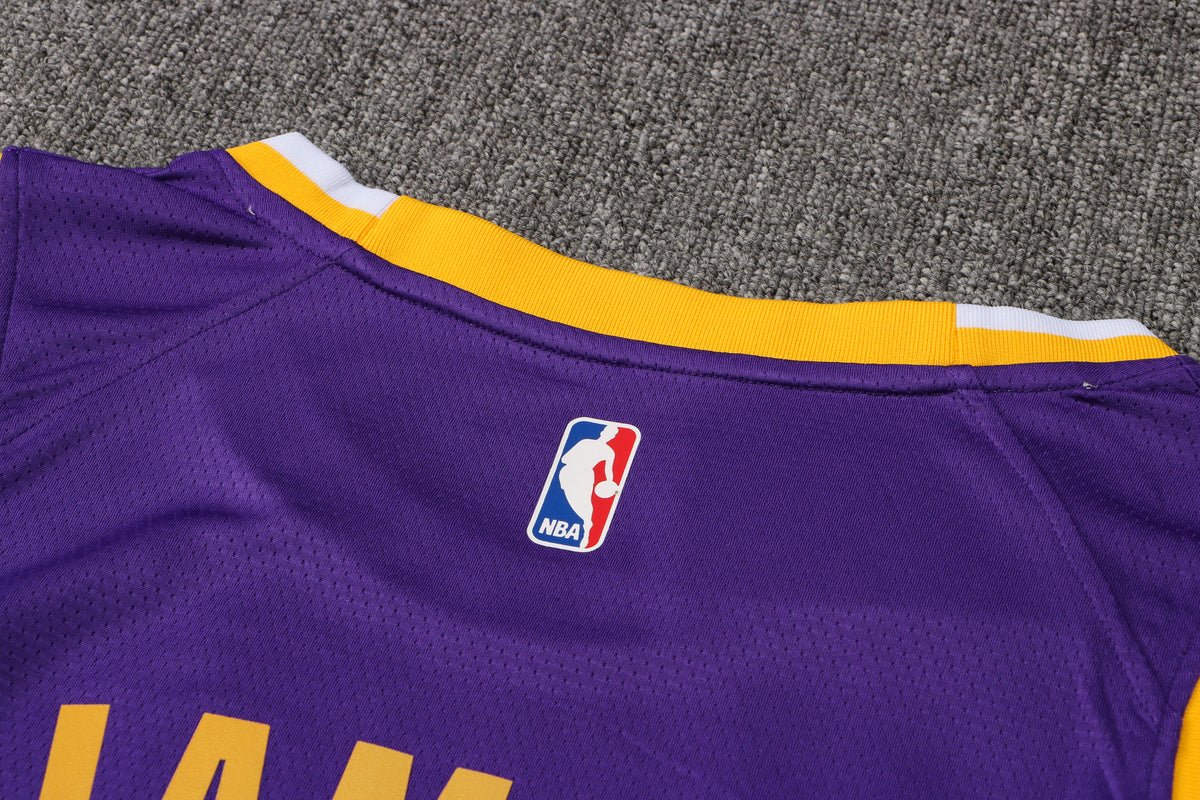 Wholesale  Jordan NBA Los Angeles Lakers purple round neck 23 (hot press style) S-2XL