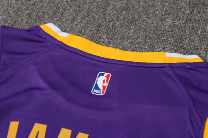 Wholesale  Jordan NBA Los Angeles Lakers purple round neck 23 (hot press style) S-2XL