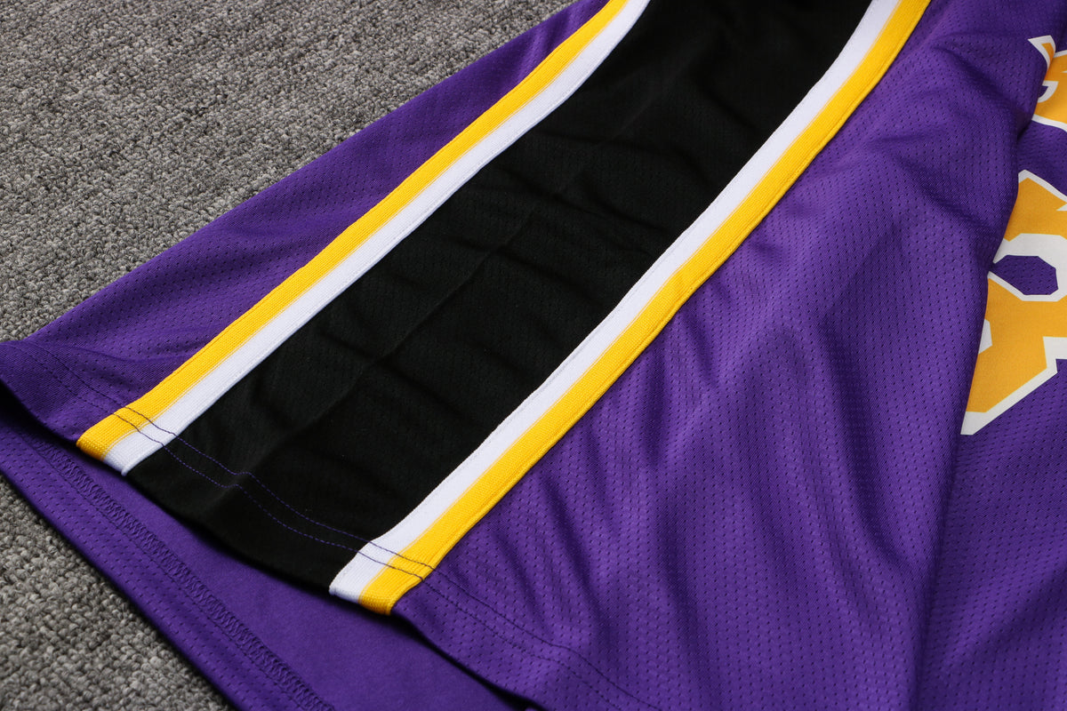 Wholesale  Jordan NBA Los Angeles Lakers purple round neck 23 (hot press style) S-2XL