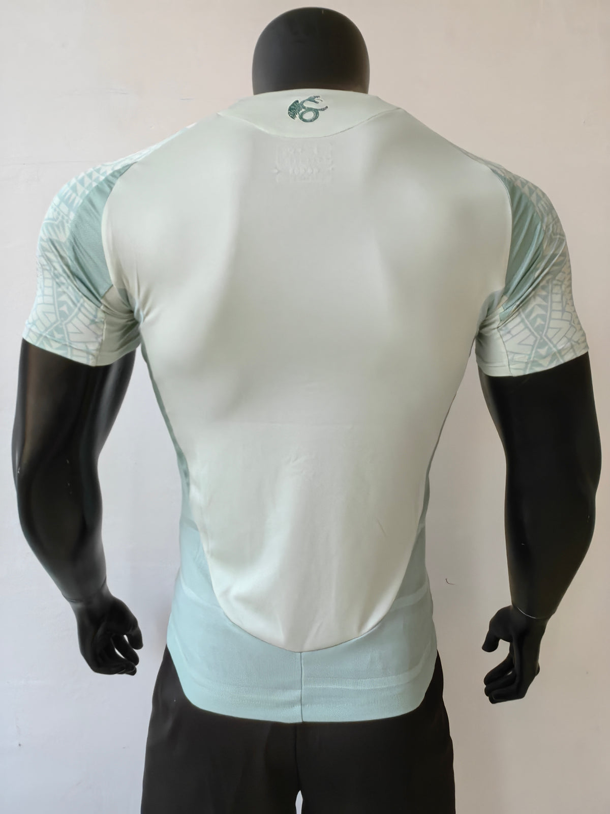 Wholesale 2024 Mexico national team away green and gray player version soccer jersey XS-4XL.