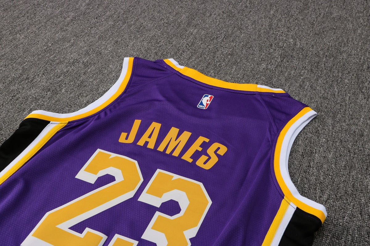 Wholesale  Jordan NBA Los Angeles Lakers purple round neck 23 (hot press style) S-2XL