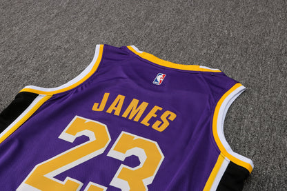 Wholesale  Jordan NBA Los Angeles Lakers purple round neck 23 (hot press style) S-2XL
