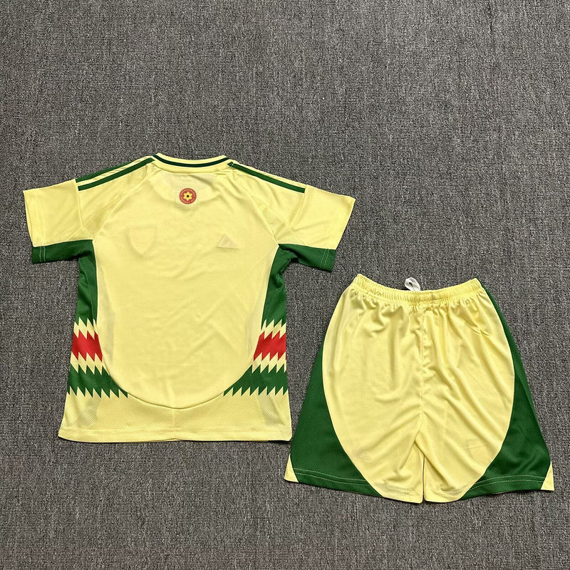 Wholesale 2024 UEFA European Championship  Wales home and away kid kits
