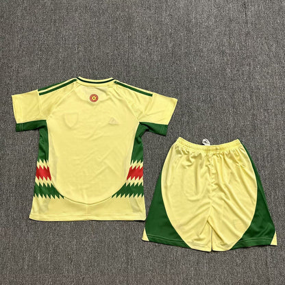 Wholesale 2024 UEFA European Championship  Wales home and away kid kits