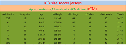 Wholesale 2024 UEFA European ChampionshipIceland  Denmark home and away kid kits